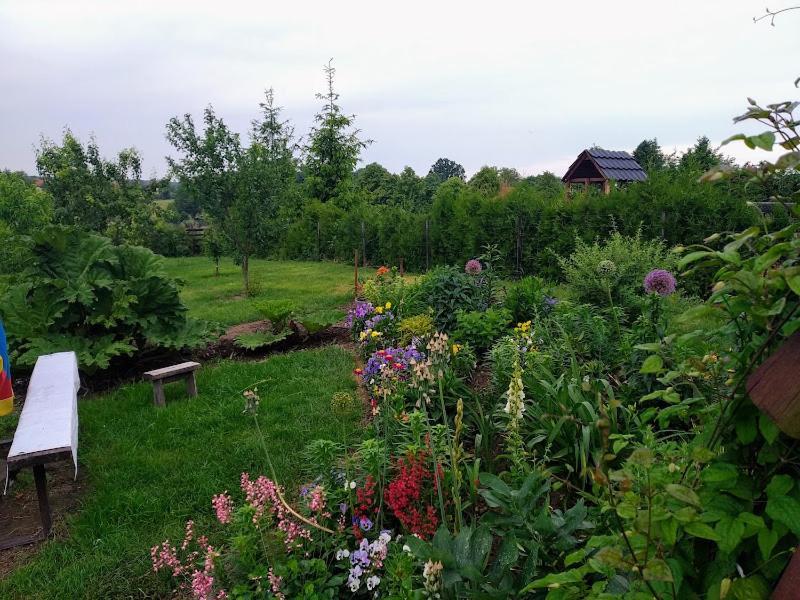 Ferienwohnung Oaza Nad Krutynia Ukta Exterior foto